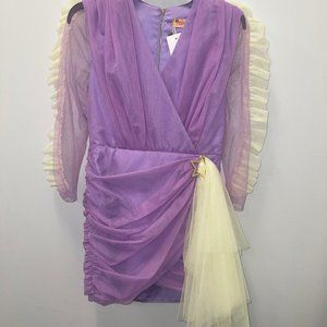 Purple Tule Dress